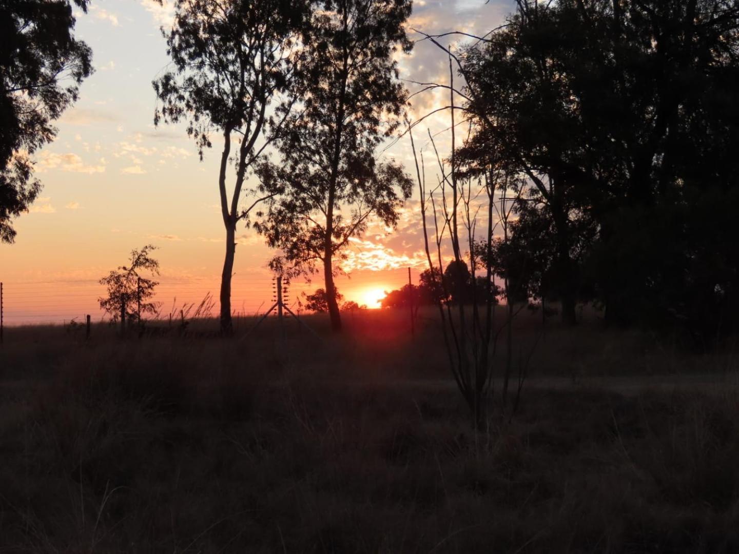 Hotel Sanctuary Life Guest Farm Magaliesburg Esterno foto