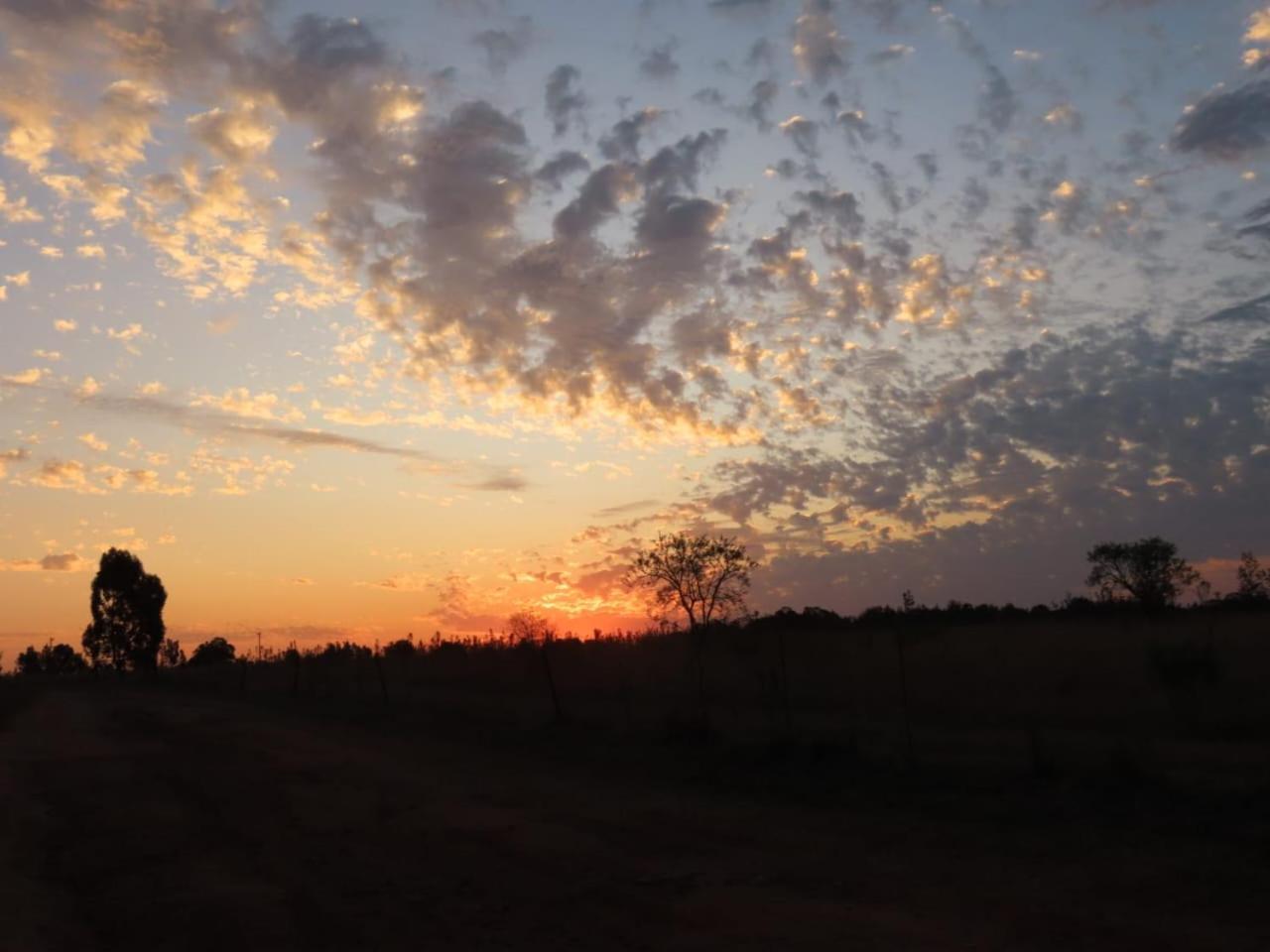 Hotel Sanctuary Life Guest Farm Magaliesburg Esterno foto