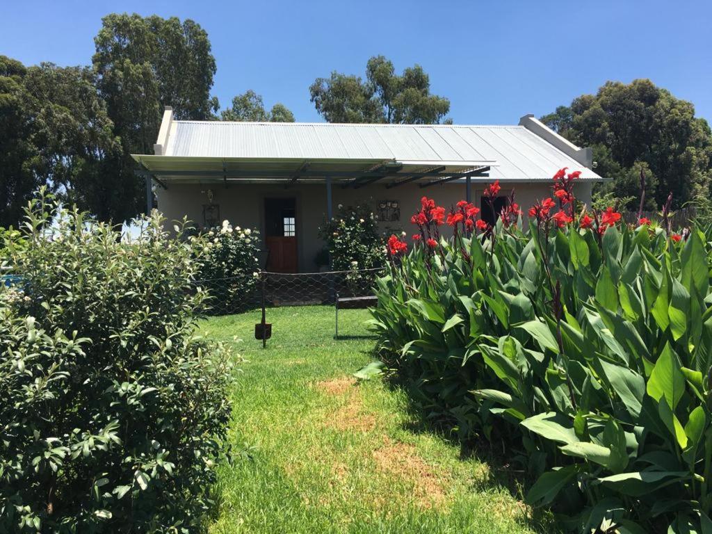 Hotel Sanctuary Life Guest Farm Magaliesburg Esterno foto