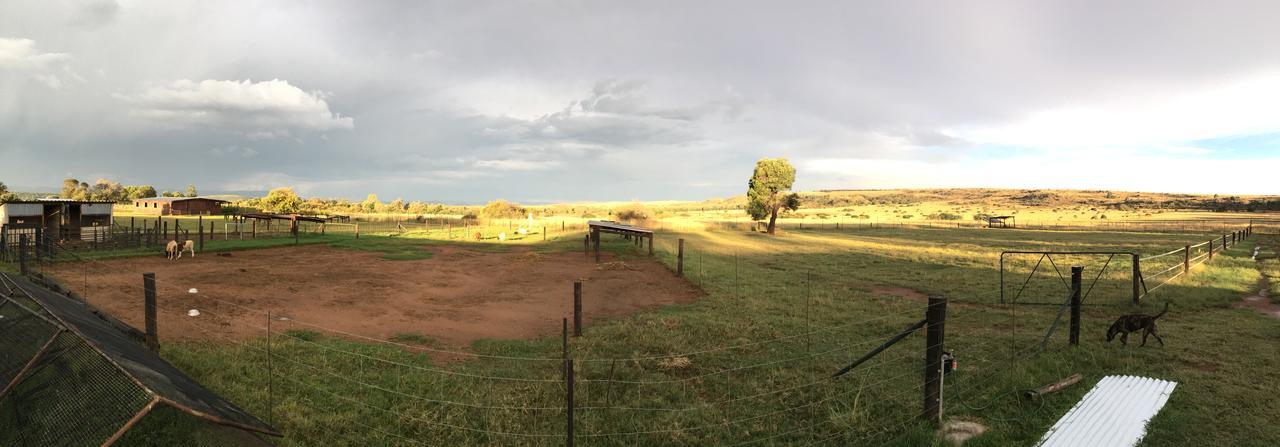 Hotel Sanctuary Life Guest Farm Magaliesburg Esterno foto