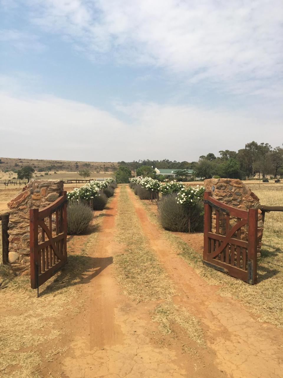 Hotel Sanctuary Life Guest Farm Magaliesburg Esterno foto