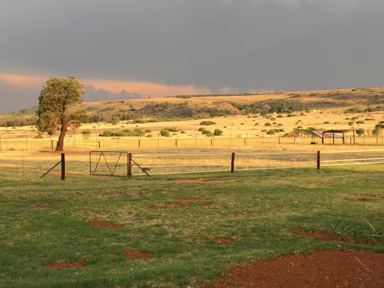 Hotel Sanctuary Life Guest Farm Magaliesburg Esterno foto