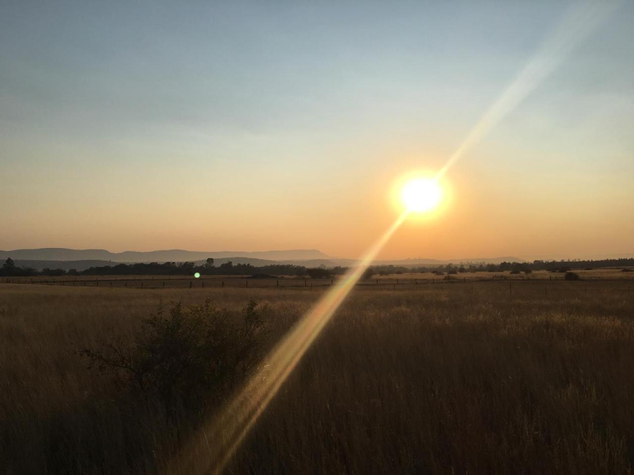 Hotel Sanctuary Life Guest Farm Magaliesburg Esterno foto